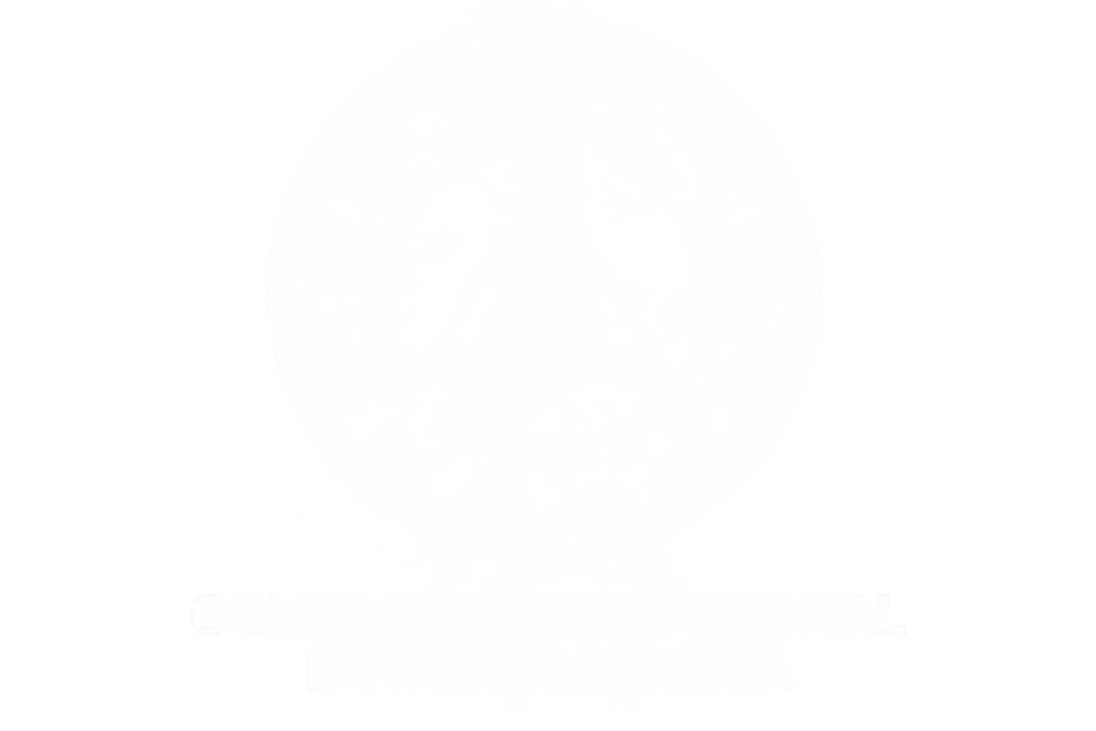 LOGO- PNG